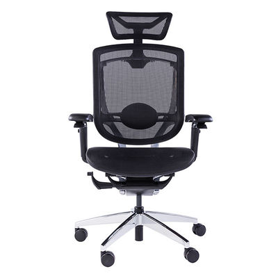 Rolling Desk Chair with 5D Armrest 3D Lumbar Support Swivel Office Chairs