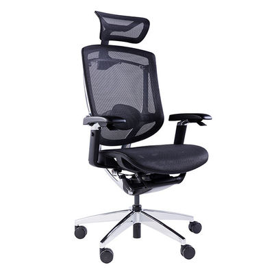 Rolling Desk Chair with 5D Armrest 3D Lumbar Support Swivel Office Chairs