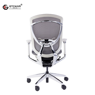 IFIT Ergonomic Lumbar Support Chair Height Adjustable Staff Office